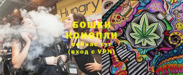 крисы Абаза