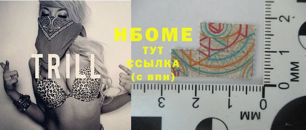 крисы Абаза