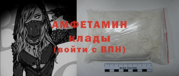 крисы Абаза