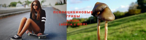 крисы Абаза