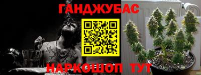 mix Можга