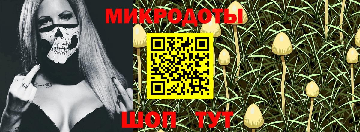 Псилоцибиновые грибы Psilocybine cubensis Нягань